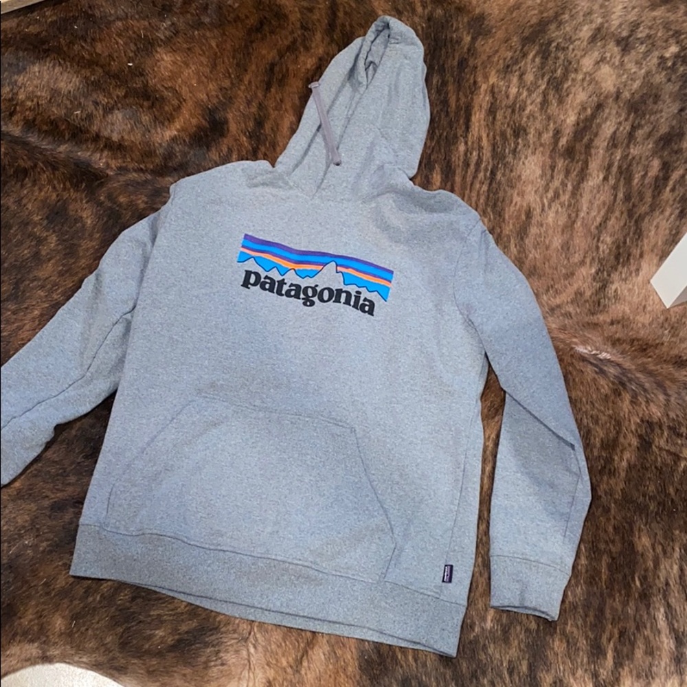 Grey Patagonia hoodie